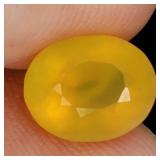 Oval Cut Natural Unheated Top Rich Yellow Opal Mex