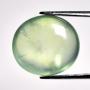 Collector Sale | Coins Jewelry Ancients Gemstones Fossils +