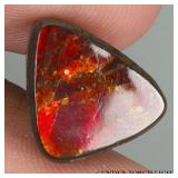 Amazing Natural Hot Rainbow Luster Ammolite Canada