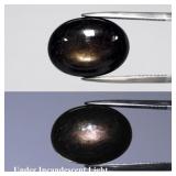 25.49ct Oval Cabochon Black 6 Ray Star Sapphire He
