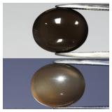 10.73ct Oval Cabochon Natural Greenish Purple Cat'