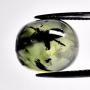Collector Sale | Coins Jewelry Ancients Gemstones Fossils +