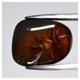 13.59ct Free Form Cabochon Natural Brown Orange Ch