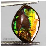 Amazing Natural Hot Rainbow Luster Ammolite Canada