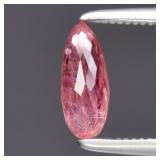 0.75ct 7.7x3mm Briolette Natural Pink Sapphire - H