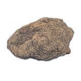 8.4g NWA Meteorite Fragment Sahara Desert