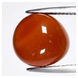 8.68ct 12x11.3mm Free Form Cabochon Natural Orange