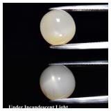 8.47ct Semi-Round Natural Light Yellow 4 Ray Star