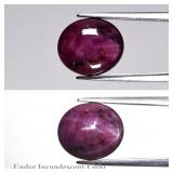 7.36ct Oval Purplish Red 6 Ray Star Ruby - Heated