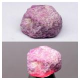 21.51ct 15x13mm Rough Natural Purplish Red Ruby -