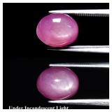 5.65ct Oval Reddish Pink 6 Ray Star Sapphire -Heat