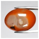 32.44ct Oval Cabochon Natural White Orange Chalced