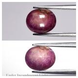 4.07ct Oval Natural Purplish Red 6 Ray Star Ruby -