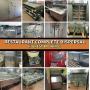 Golden Buffet Restaurant Complete Dispersal