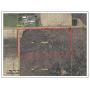 20 Acres Recreational Land