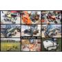 Northridge Landscape Service Estate Auction