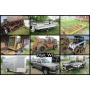 Live/Online - D&D Builders Inc. - Lull, Bobcat 751, Skid Steer Trailer, Haulmark Enclosed Trailer