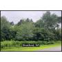 Approximately 0.94 Acre Residential Lot