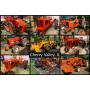 Chuck & Suzan Cushman Estate - Vintage Tractors, Implements and Household Items