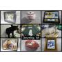 Green Bay Packer and Milwaukee Brewers Memorabilia, Taxidermy and Framed Prints