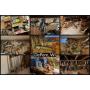 Mike Lyga Taxidermy Retirement - Fish Mounts, Fishing Rods, Reels & Baits
