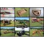 Construction, Industrial, Farm, John Deere 3020, Firearms, Ammo, Lawn Mowers, Boat Motors & More
