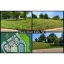2.3 Acres, 6 Residential Lots, Lender Owned, Quiet Neighborhood Near School and Golf Course