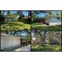 Single Family Ranch Style Brick Home on Cul-de-sac