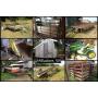 Chicken Coop on Wheels, 2 Ton Electric Jack, Riding Lawn Mower & More