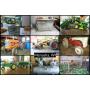 Tractor, Tools, John Deere Collectibles, Antiques & More