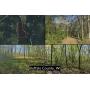 17 Acres of Prime Hunting Land with Trails, Oaks & Cabin Site Near Mondovi
