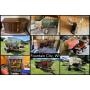 Merlin D. Sutter Estate - Wildlife Mounts, Limited Farm Machinery, Clay Silo & Bunk Parts & More