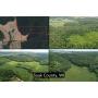 125 Acres in the Scenic Baraboo Bluffs Prime Opportunity