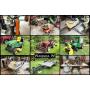 Jenson Estate - Case Utility Tractor, Car Hauler, John Deere Rider/Snowblower, Tools, & More