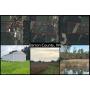 Diverse 3 Parcel Land Auction From Buildable Acreage To Farmland & Wooded Hunting Tract With Pond 