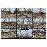 Bluestem Landscaping Inventory Reduction of Trees