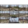 Bluestem Landscaping Inventory Reduction of Trees