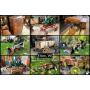 Floyd Taylor Living Estate, Antiques, Collectibles, Covered Wagons, Tools & More