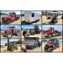 June Downing Auction