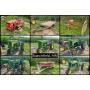 Vintage & Antique John Deere Tractors, Antique Ford Cars, Shop Contents & More
