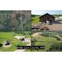 15 Beautiful Country Acres in 2 Parcels with Quality Amish-Built Home Near Milaca