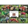 Mentink Auction - James and Mary Ann Johnson Excess Farming Equipment & Antiques