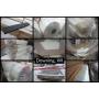 Marine Distributor Boat Dealer Surplus Auction #5