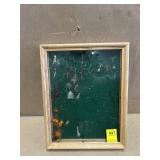 DISPLAY CASE W/FLIES