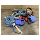 LEASHES & COLLARS