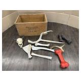 VINTAGE WOODEN BOX W/ANTLERS & BONES