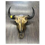 BISON SKULL
