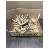 ANTLERS
