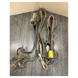 CLIMBING SPIKES & BELT