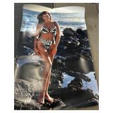 PINUP POSTER